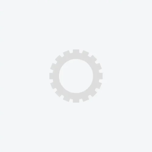 عنصر نائب Placeholder